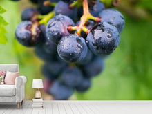 Load image into Gallery viewer, Photo Wallpaper grapes