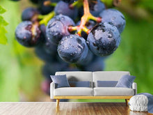 Load image into Gallery viewer, Photo Wallpaper grapes