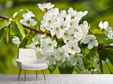 Load image into Gallery viewer, Photo Wallpaper White flowers in XL