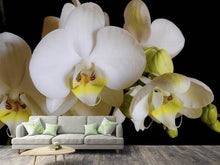 Load image into Gallery viewer, Photo Wallpaper White orchids in bloom