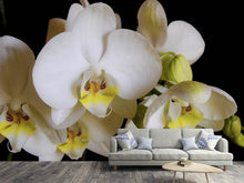 Load image into Gallery viewer, Photo Wallpaper White orchids in bloom