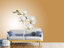 Load image into Gallery viewer, Photo Wallpaper White orchids XL