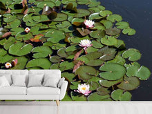 Load image into Gallery viewer, Photo Wallpaper White water lilies in the pond