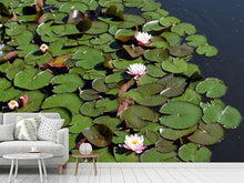 Load image into Gallery viewer, Photo Wallpaper White water lilies in the pond