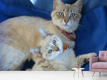 Load image into Gallery viewer, Photo Wallpaper Like mom ...