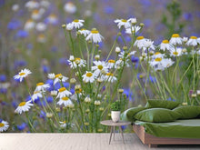 Load image into Gallery viewer, Photo Wallpaper Wild flower meadow