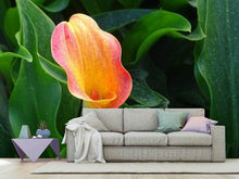 Load image into Gallery viewer, Photo Wallpaper Wild Calla