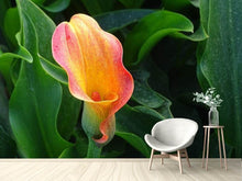 Load image into Gallery viewer, Photo Wallpaper Wild Calla