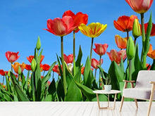 Load image into Gallery viewer, Photo Wallpaper Wild tulips