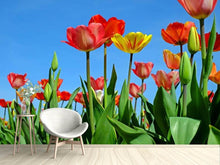 Load image into Gallery viewer, Photo Wallpaper Wild tulips