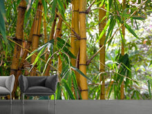 Load image into Gallery viewer, Photo Wallpaper Wild bamboo