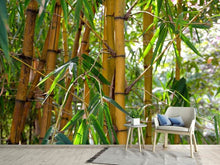 Load image into Gallery viewer, Photo Wallpaper Wild bamboo