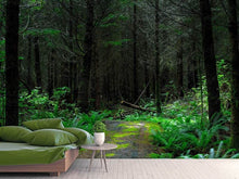 Load image into Gallery viewer, Photo Wallpaper Wild forest
