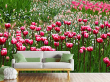 Load image into Gallery viewer, Photo Wallpaper Wild tulip field