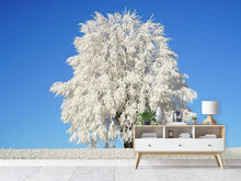 Load image into Gallery viewer, Photo Wallpaper Winter tree