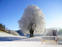 Load image into Gallery viewer, Photo Wallpaper Winter fairy tale