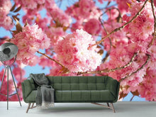 Load image into Gallery viewer, Photo Wallpaper Beautiful cherry blossoms