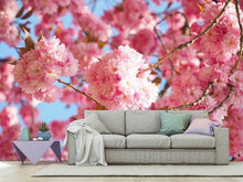 Load image into Gallery viewer, Photo Wallpaper Beautiful cherry blossoms