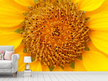 Load image into Gallery viewer, Photo Wallpaper Beautiful buds of the sunflower