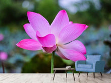 Load image into Gallery viewer, Photo Wallpaper Beautiful lotus