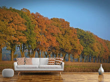 Load image into Gallery viewer, Photo Wallpaper Beautiful autumn