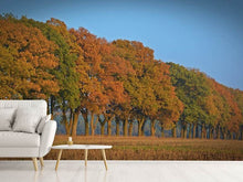 Load image into Gallery viewer, Photo Wallpaper Beautiful autumn