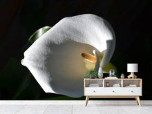 Load image into Gallery viewer, Photo Wallpaper Wonderful calla