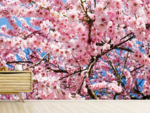 Load image into Gallery viewer, Photo Wallpaper Wonderful Japanese cherry