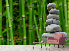 Load image into Gallery viewer, Photo Wallpaper XL Feng Shui