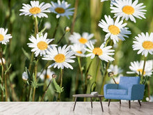 Load image into Gallery viewer, Photo Wallpaper XL daisies