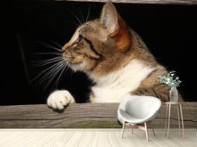Load image into Gallery viewer, Photo Wallpaper XL cat