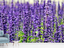 Load image into Gallery viewer, Photo Wallpaper XL lavender