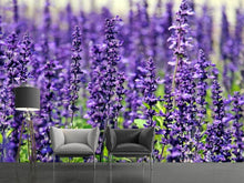 Load image into Gallery viewer, Photo Wallpaper XL lavender