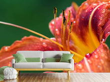 Load image into Gallery viewer, Photo Wallpaper XXL lily in orange