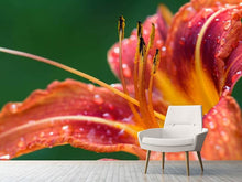 Load image into Gallery viewer, Photo Wallpaper XXL lily in orange