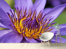 Load image into Gallery viewer, Photo Wallpaper XXL water lily in purple