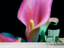 Load image into Gallery viewer, Photo Wallpaper Zantedeschien