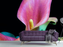 Load image into Gallery viewer, Photo Wallpaper Zantedeschien