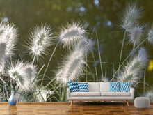 Load image into Gallery viewer, Photo Wallpaper Ornamental grasses in XL