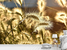 Load image into Gallery viewer, Photo Wallpaper Ornamental grass in the sunlight