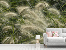 Load image into Gallery viewer, Photo Wallpaper Ornamental grass in the wind