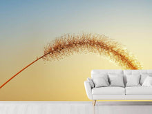 Load image into Gallery viewer, Photo Wallpaper Ornamental grass in XXL