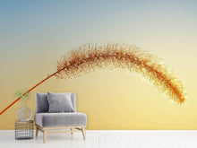 Load image into Gallery viewer, Photo Wallpaper Ornamental grass in XXL