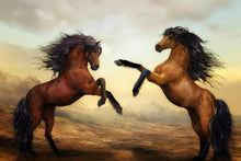 Load image into Gallery viewer, Photo Wallpaper Two wild horses