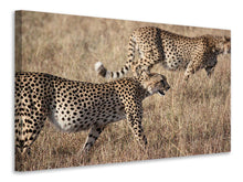 Load image into Gallery viewer, Canvas print 2 leopards