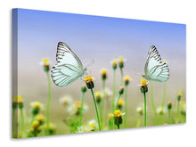 Load image into Gallery viewer, Canvas print 2 butterflies