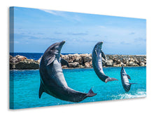 Load image into Gallery viewer, Canvas print 3 dolphins