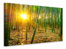 Load image into Gallery viewer, Canvas print Bamboos