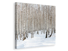 Load image into Gallery viewer, Canvas print Birch Forest Tracks In Snow