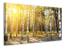 Load image into Gallery viewer, Canvas print Birch Forest